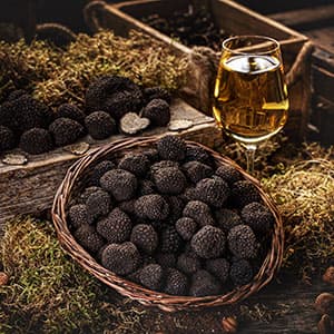 Truffle Hunting in Europe - vacations
