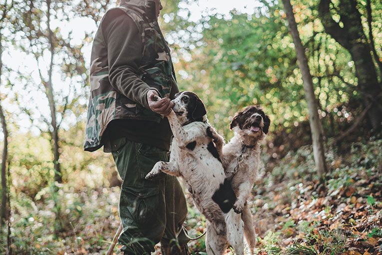 Truffle Hunting in Europe: An exciting adventure
