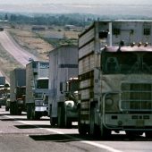 Road Movie: Convoy (1978)